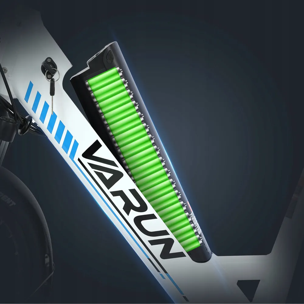 VARUN S700-2 vélo électrique pré-assemblé et réglé, 250W 48V