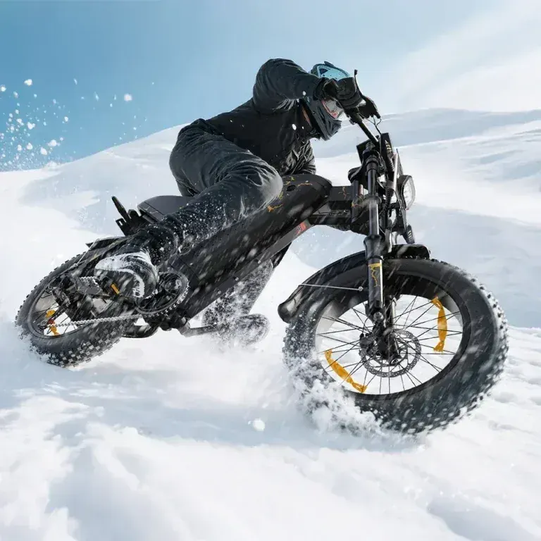 Varun X-PLORER RAPTOR Vélo Électrique Fat Bike image 3