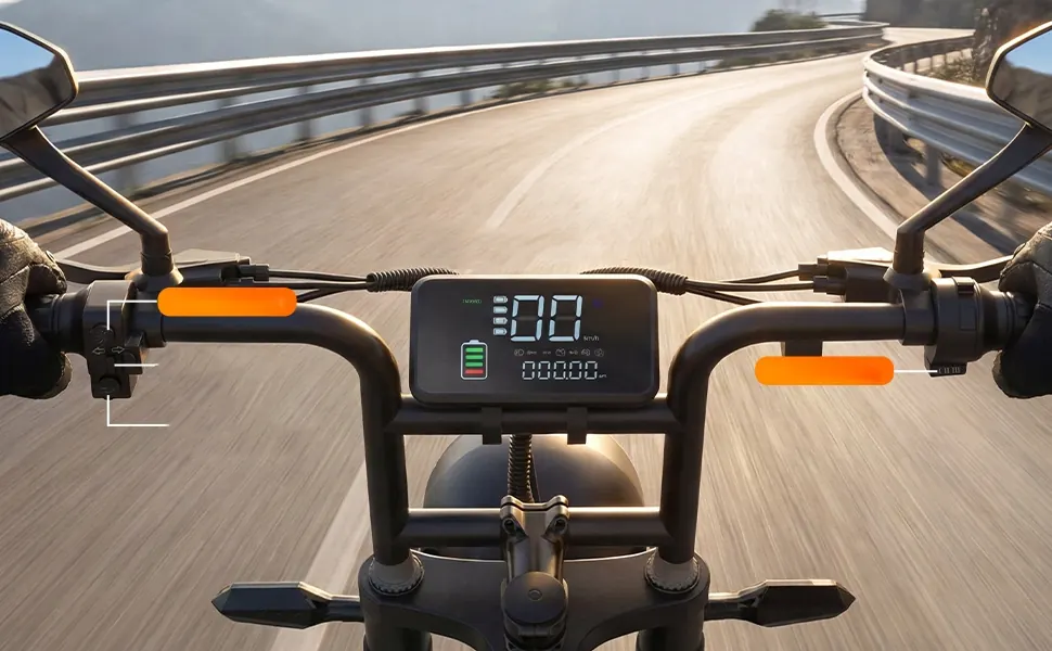 Marque Aairsk du vélo électrique fat bike 20 pouces X5