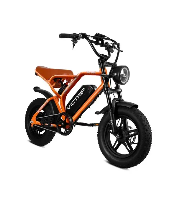 Victrip R6 Pro Vélo Électrique Fat Bike Tout-Terrain image 13