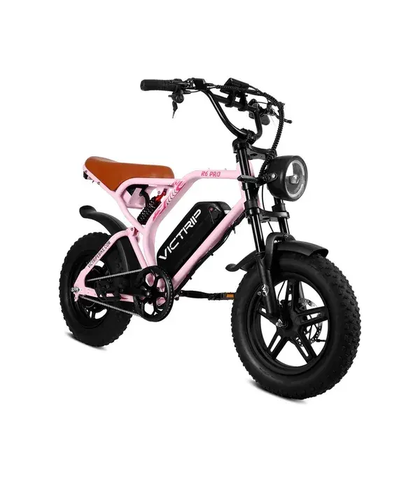 Victrip R6 Pro Vélo Électrique Fat Bike Tout-Terrain image 14