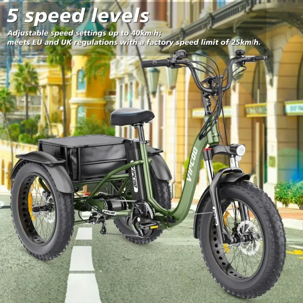 Vipcoo ET1 Tricycle Électrique Cargo Tout-Terrain image 11
