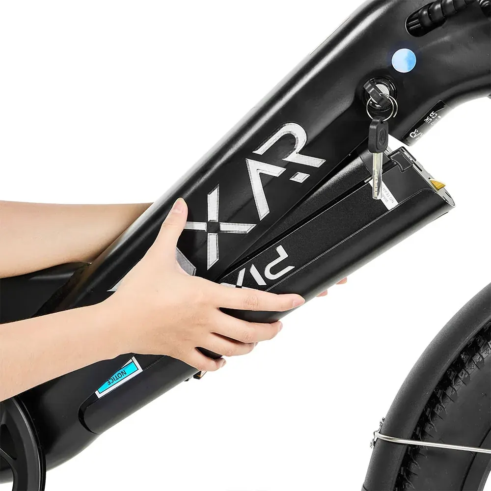 PIXAR Plus fat bike électrique utilitaire à cadre bas image 3
