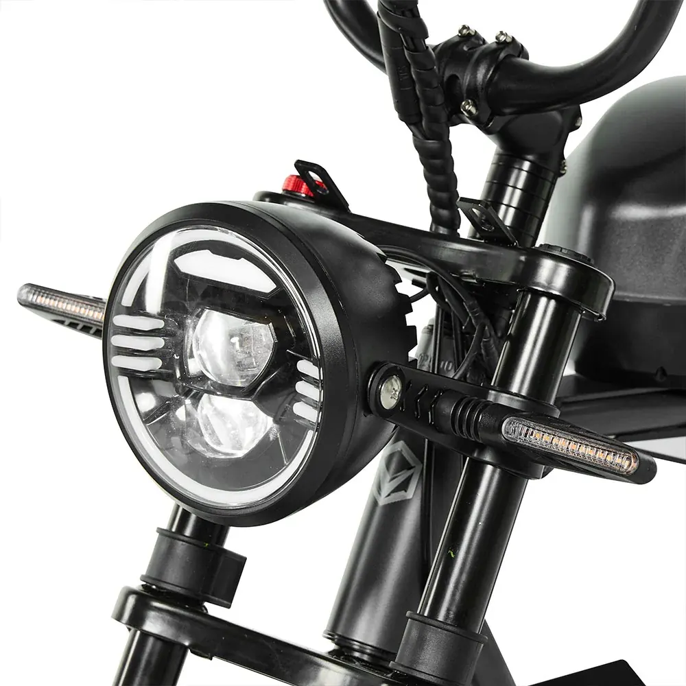 PIXAR Super fat bike électrique rétro à selle longue image 11