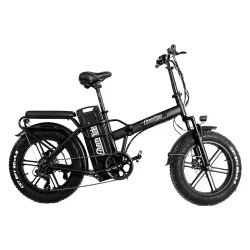 ChamRider DTS425 Vélo Électrique Fat Tire Pliable
