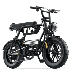Coswheel Y16 Vélo Électrique Fat Tire