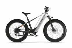 Cyrusher Zenith Vélo Électrique Fat Bike