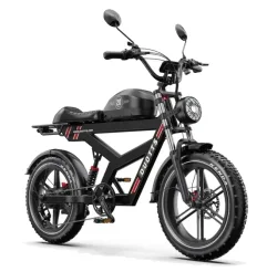 Duotts F20 Vélo électrique Fat Bike pliant