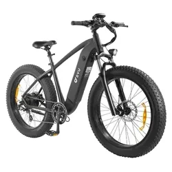 DYU King 750 Vélo électrique Fat Bike 26 pouces