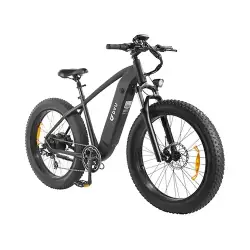 DYU King 750 Vélo électrique Fat Bike 26 pouces