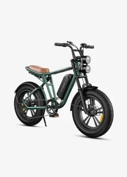 Engwe M20 Vélo électrique fat bike double batterie
