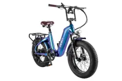 Fafrees F20 Master – Vélo électrique Fat Bike