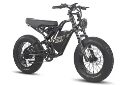 Fafrees F20 Ultra Vélo Électrique Fat Bike