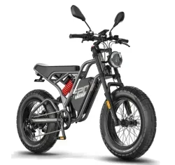 Fafrees F20 ULTRA Upgrade Vélo électrique Fat Bike