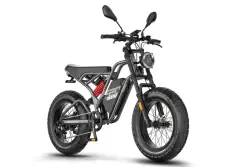 Fafrees F20 ULTRA Upgrade Vélo électrique Fat Bike