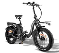 Fafrees F20 X-Max Vélo Cargo Électrique