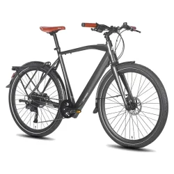 Fafrees F700M Vélo de Ville Électrique