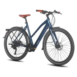 Fafrees F700W Vélo de Ville Électrique