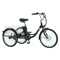 Gogobest GF100 Tricycle Cargo Électrique