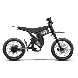 Riding Time GT73 Pro Moto Électrique Tout-Terrain