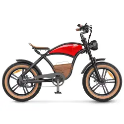 Hidoes B10 Vélo Électrique Fat Tire