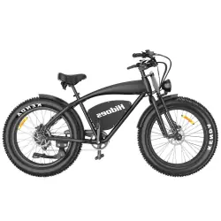 Hidoes B3 Vélo Électrique Fat Tire