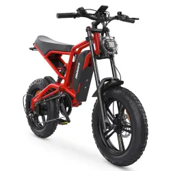 Hidoes B6 Vélo électrique Fat Tire