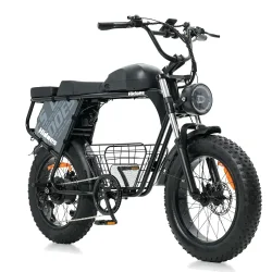 Hidoes B9 Vélo électrique Fat Bike double batterie