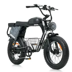 Hidoes B9 Vélo électrique Fat Bike double batterie