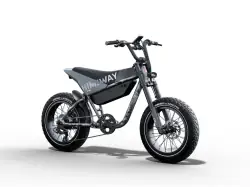 Himiway C5 Ultra – Vélo électrique fat bike urbain