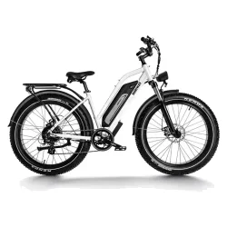 Himiway D3 – Vélo électrique tout-terrain Fat Tire