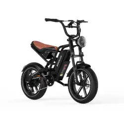 Koolux X9 mini Vélo électrique Fat Tire
