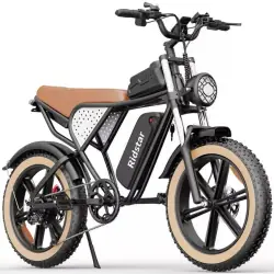Ridstar Q20 Luxe Vélo Électrique Fat Bike Rétro