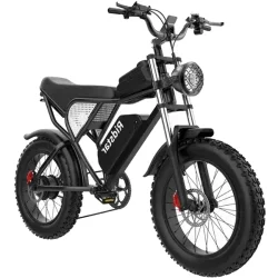 Ridstar Q20 Vélo électrique Fat Tire