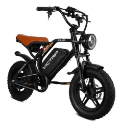 Victrip R6 Pro Vélo Électrique Fat Bike Tout-Terrain