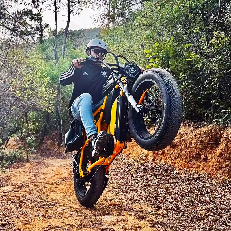 A-SPADZ Cavet Air Fatbike Électrique image 4