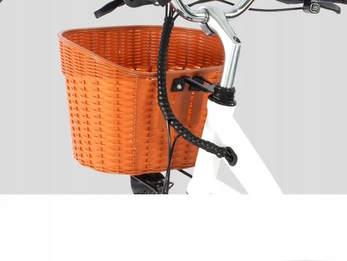 Moteur 250W du DYU C6, puissance nominale pour vélo électrique