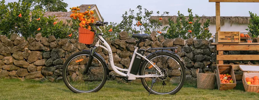 Vélo électrique DYU C6 adapté aux utilisateurs de 165 à 175 cm