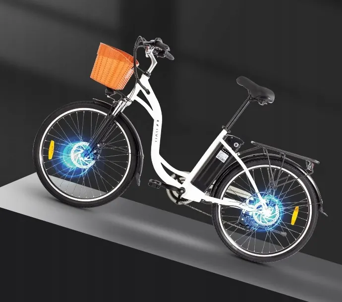 Roues de 26 pouces du vélo électrique DYU C6