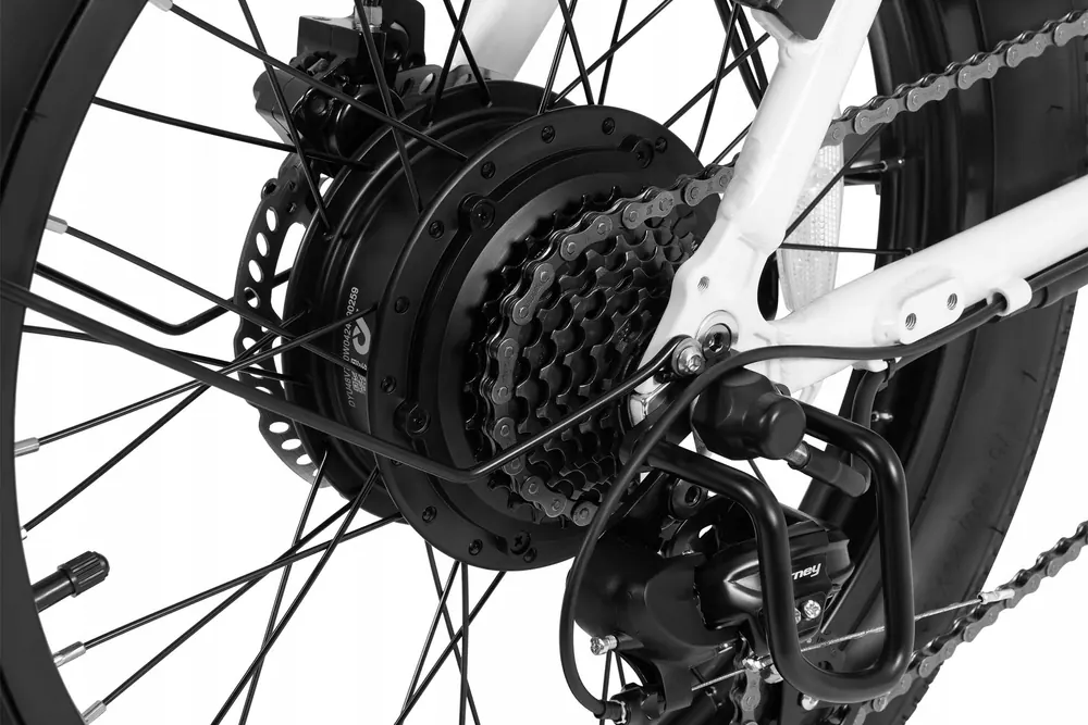 Moteur 250W du vélo électrique pliant DYU C9, autonomie 150km