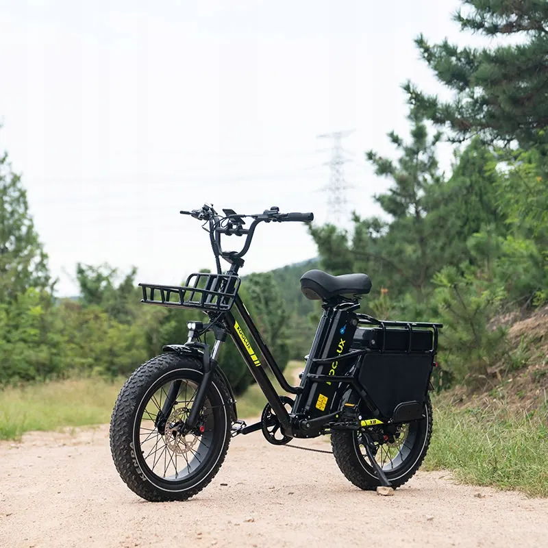 KOOLUX X8 Vélo Électrique 1000W image 5