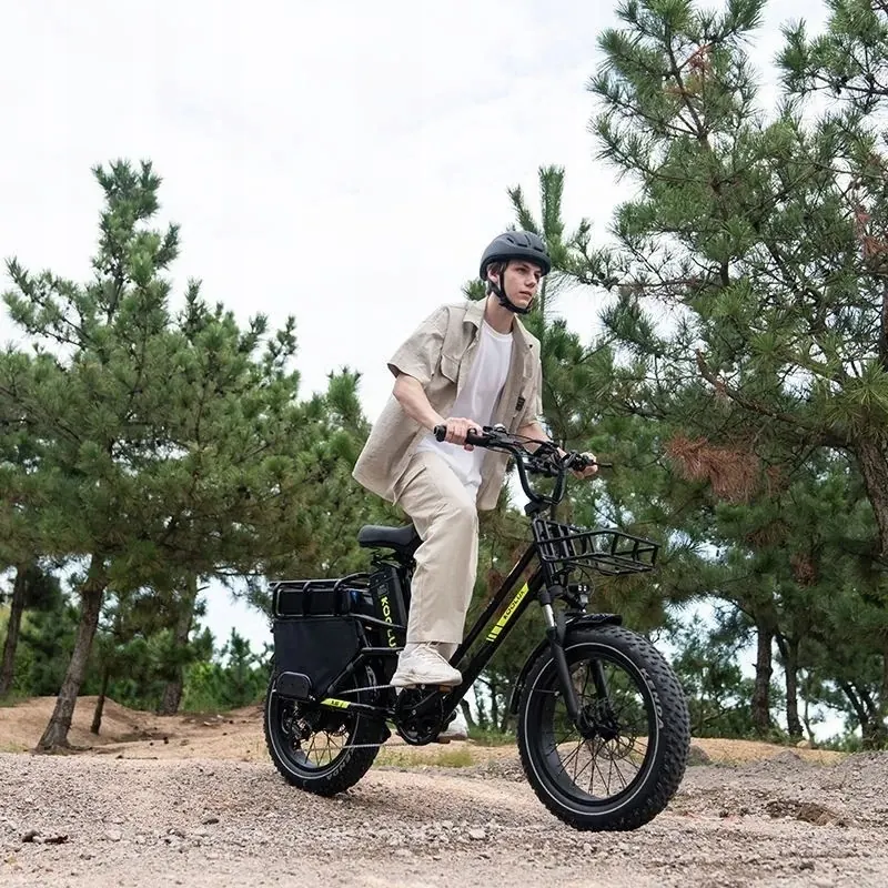Moteur 750W du vélo électrique KOOLUX X8 1000W 48V65Ah