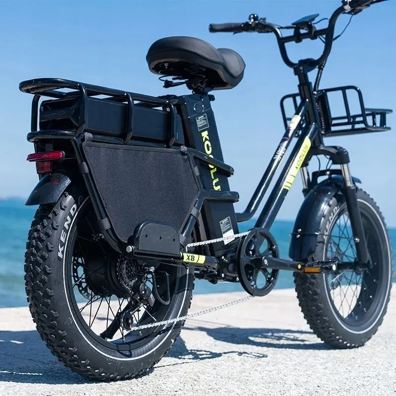 Vélo électrique 20 pouces 1000W 48V65Ah adapté aux utilisateurs de 160 à 200 cm