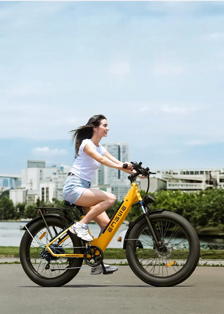 Marque Engwe sur le cadre du vélo électrique ENGWE E26 ST