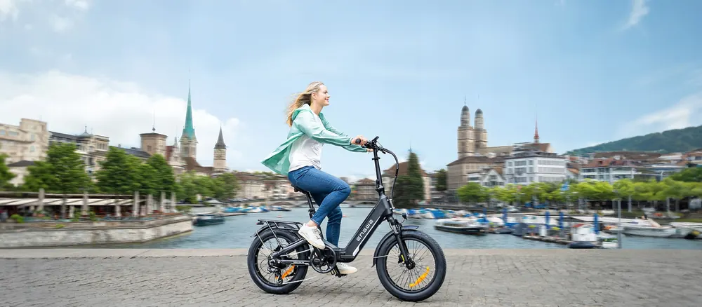 Vélo électrique ENGWE L20 3.0 Boost 250W avec freins hydrauliques et application