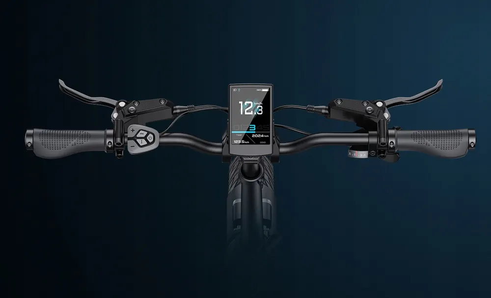 Roues de 20 pouces du vélo électrique ENGWE L20 3.0 Boost