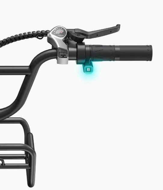 Roue de 20 pouces du vélo électrique ENGWE L20 BOOST avec pneu large