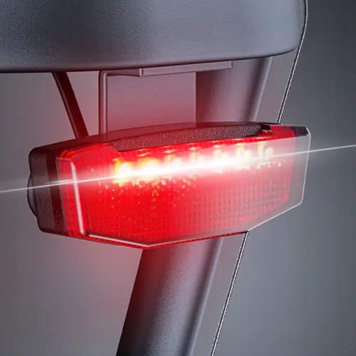 ENGWE LE20 Vélo Électrique Double Batterie image 9