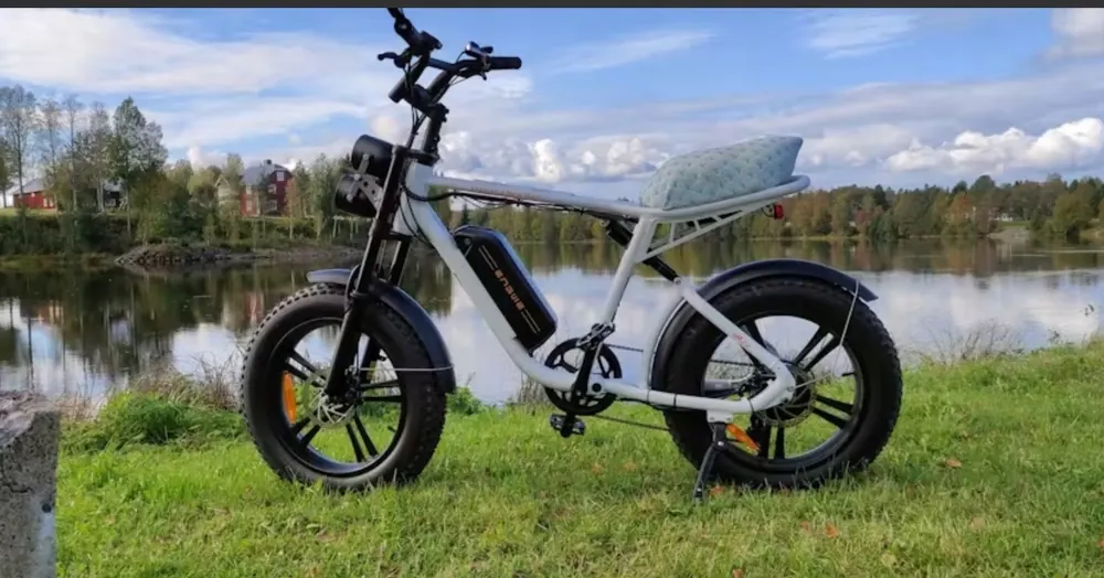 ENGWE M20 blanc avec batterie 48V 13AH et moteur 1000W