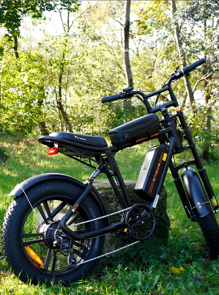ENGWE M20 Vélo Électrique Tout-Terrain image 2